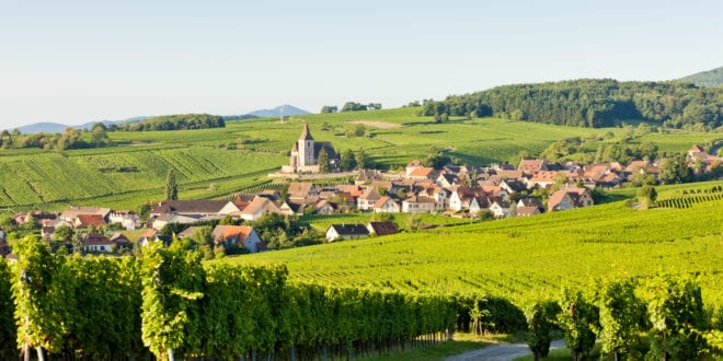 Wijngaarden Elzas shutterstock 70521466, mooiste dorpen bourgogne