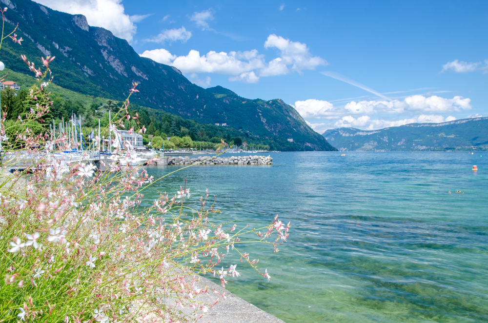 helderblauw meer lac du bourget met bergen op achtergrond en struik op voorgrond