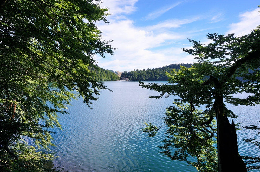 uitzicht op Lac Pavin tussen twee bomen door