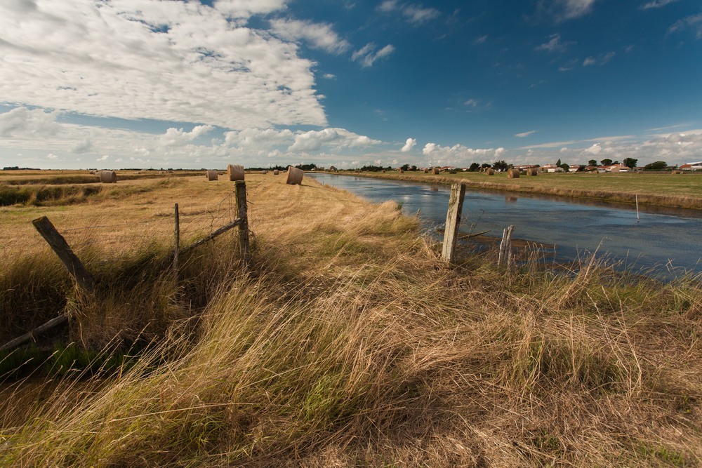 rietvelden, een kanaal en boerderijen in het natuurgebied Marais Breton in de Vendée