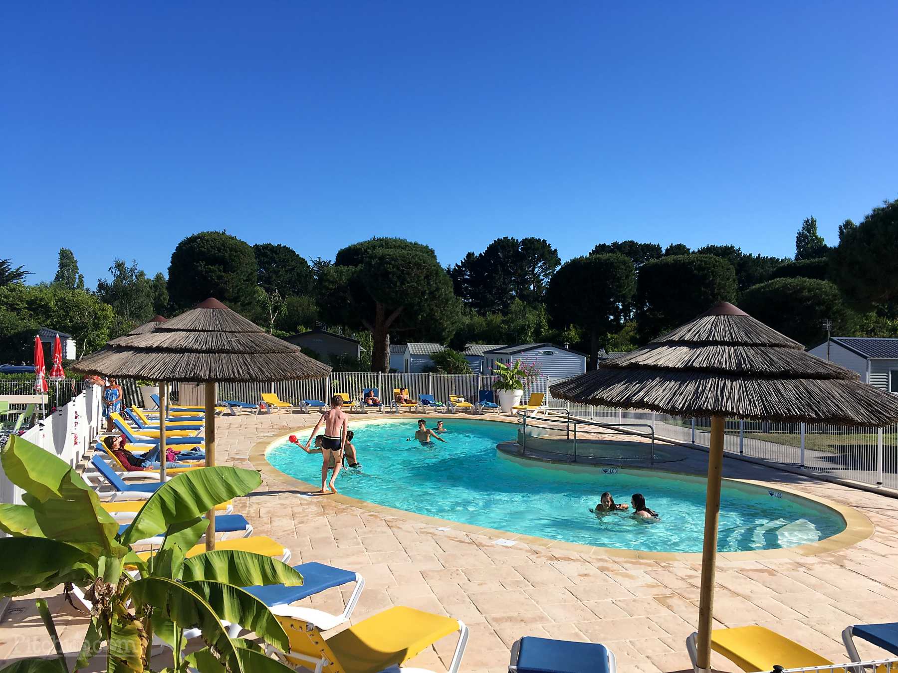 kinderen die in een zwembad zwemmen, waar rondom gele en blauwe zonnebedjes staan en rieten parasols