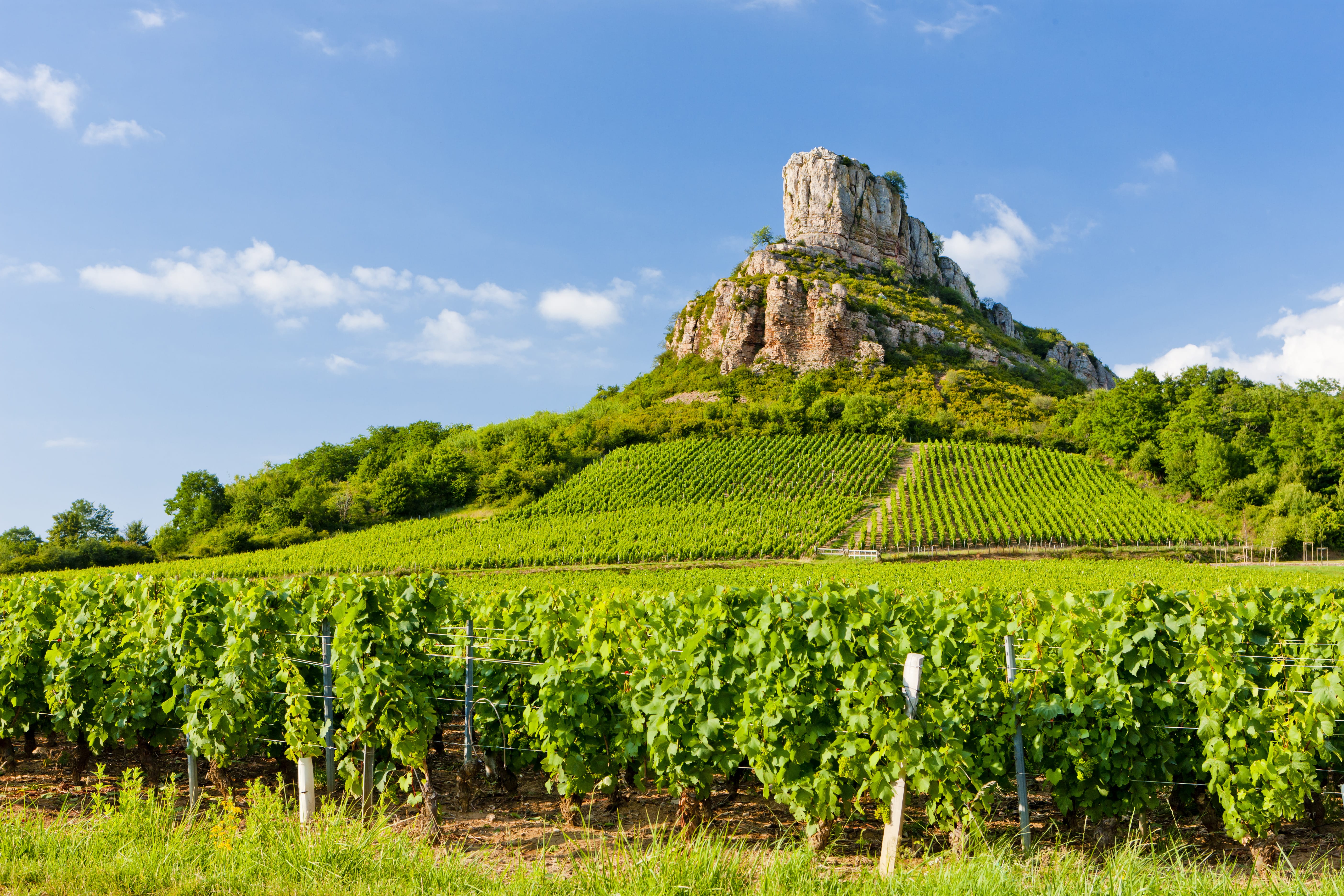 Frankrijk Bourgogne Saonne et Loire 71503693 min, Mooie wandelgebieden in Frankrijk