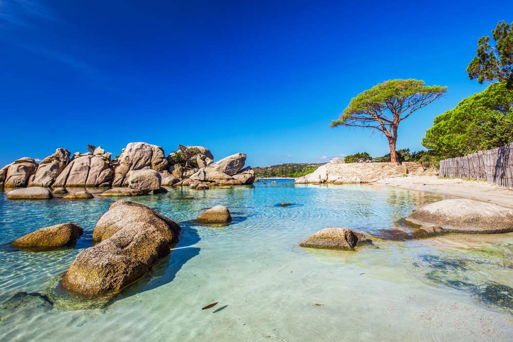 azuurblauwe zee met daarin rotsformaties, een smal zandstrand en bomen bij het Palombaggia strand op Corsica