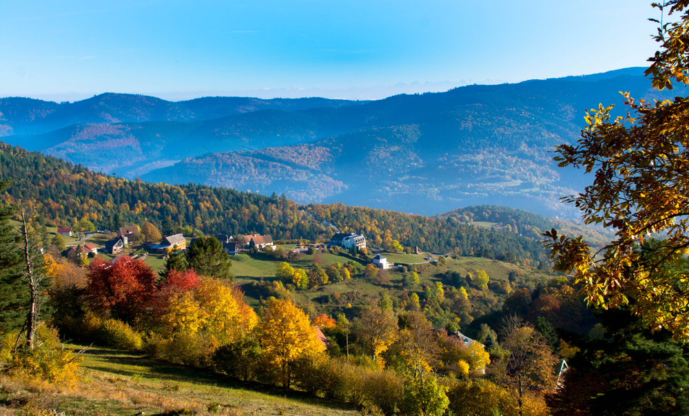 Vallée de Munster Elzas shutterstock 676638508, Elzas