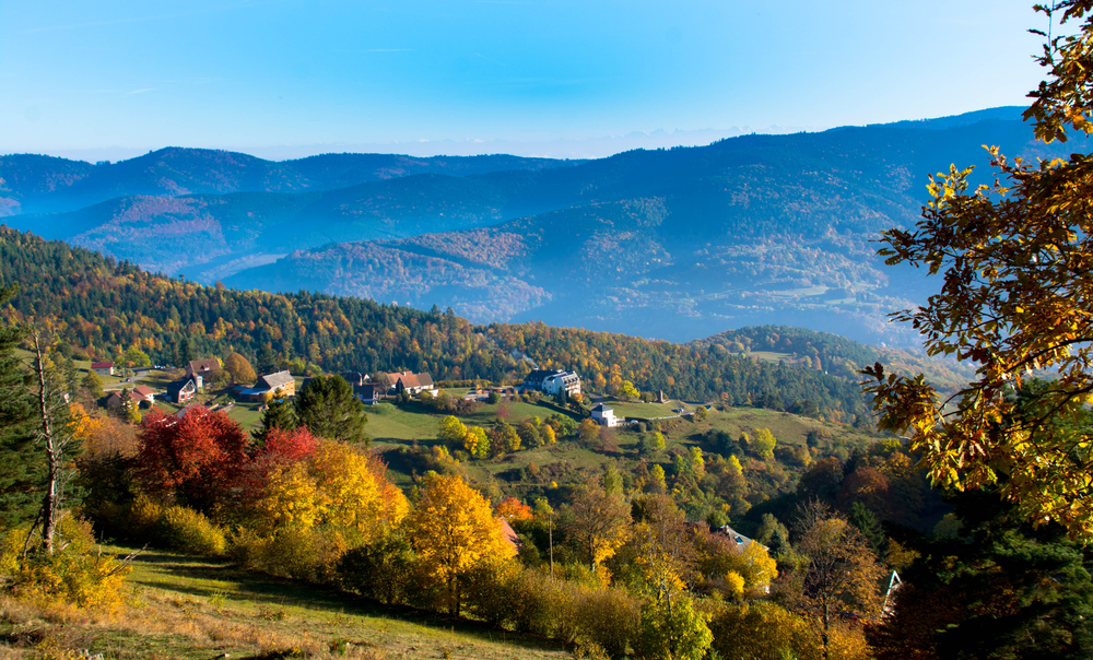 Vallée de Munster Elzas shutterstock 676638508, Bezienswaardigheden in de Elzas