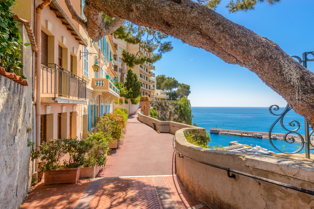 klein straatje met links pastelkleurige huizen en rechts een boomstam en beneden de zee in Monaco