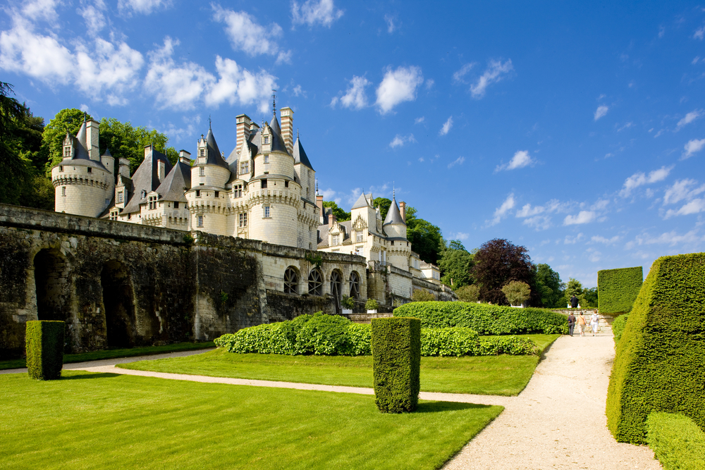 10 mooiste kastelen langs de Loire - Zininfrankrijk.nl