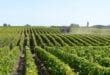 Médoc Gironde shutterstock 1499355041, Campings aan een rivier in Frankrijk