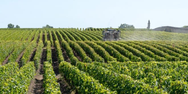 Médoc Gironde shutterstock 1499355041, wijnstreken bordeaux