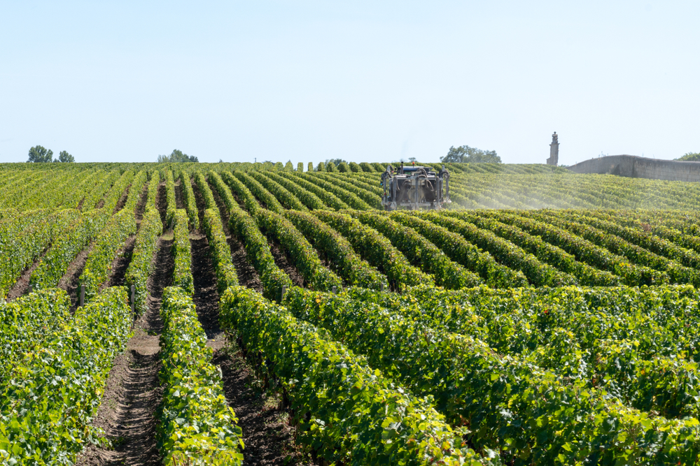 Médoc Gironde shutterstock 1499355041, gironde