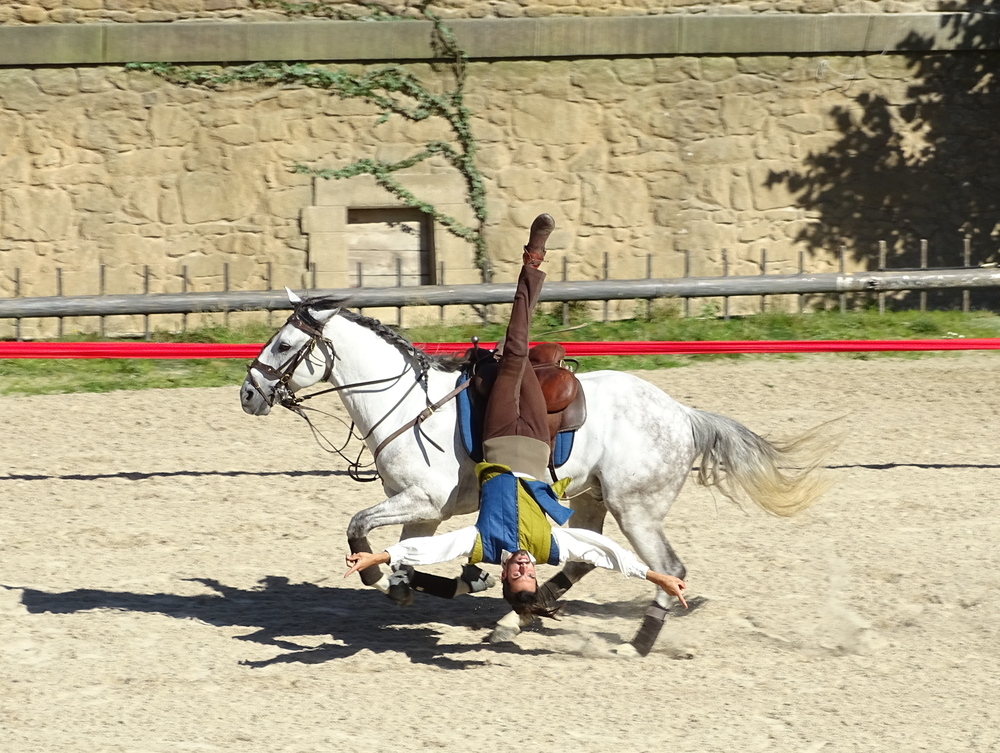 man die ondersteboven aan het zadel van een wit, rennend paard hang in het thempark Le Puy du Fou in de Vendée
