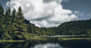 Meren van la Bresse Vogezen shutterstock 1123374203, Vogezen
