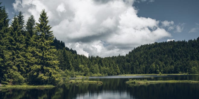 Meren van la Bresse Vogezen shutterstock 1123374203, Vogezen