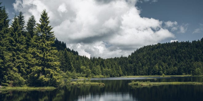 Meren van la Bresse Vogezen shutterstock 1123374203, Campings aan een rivier in Frankrijk