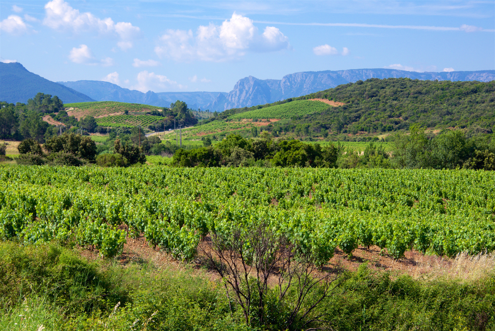 Wijngaarden van Hérault Hérault shutterstock 1123771817, bezienswaardigheden hérault