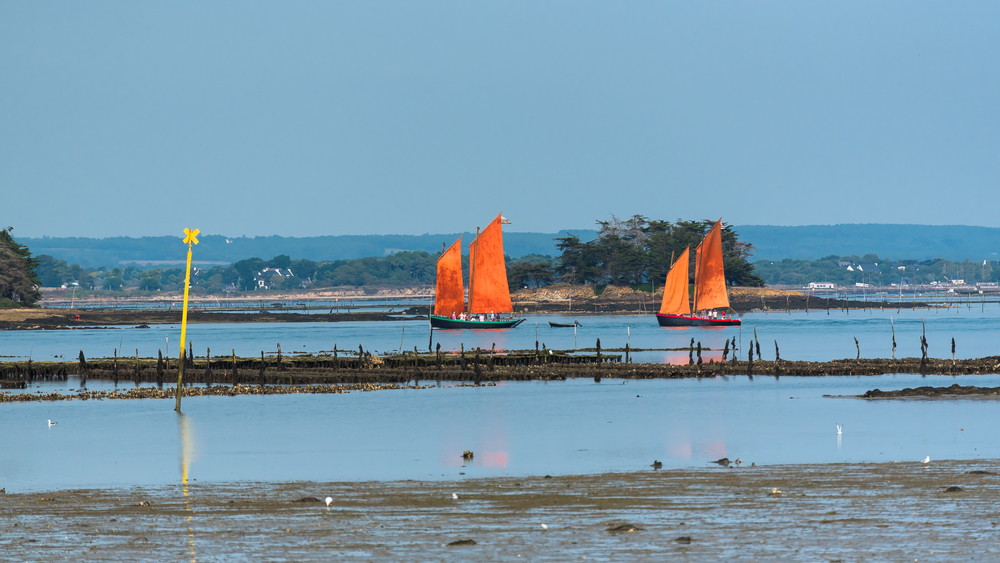 Golfe du Morbihan Morbihan sh 704361985, Bezienswaardigheden in Morbihan