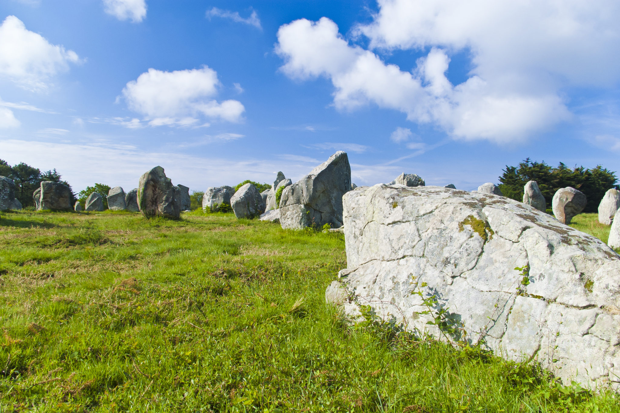 Uniek gevormde rotsformaties gelegen in een groen grasveld met een helderblauwe lucht.