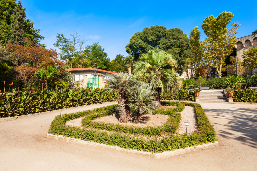 struiken en palmbomen in de botanische tuin Jardin des Plantes in Montpellier