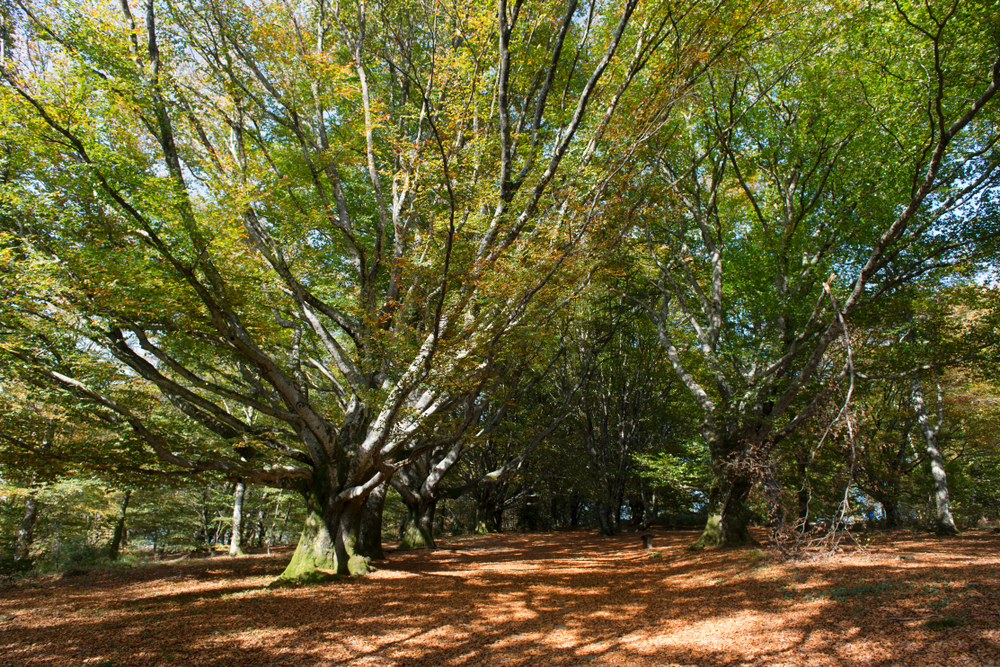 Parc Naturel Régional Millevaches Limousin sh 1033031728, Bezienswaardigheden in Creuse