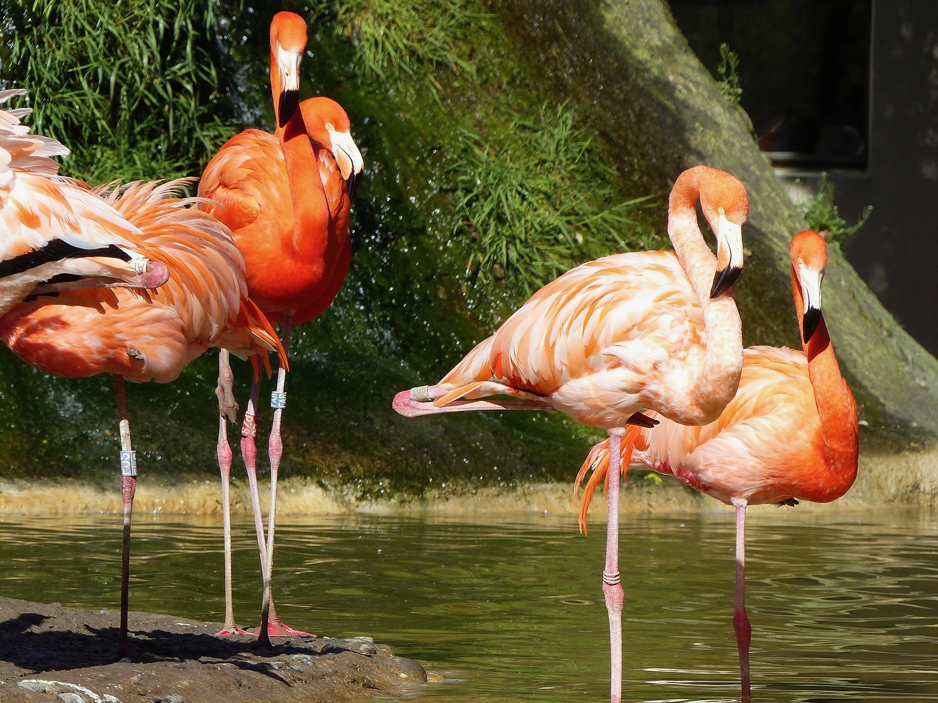 Dierentuin van La Palmyre Charente Maritime PX, Bezienswaardigheden in de Charente-Maritime