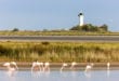 Phare de la Gacholle Camargue sh 255133858, campings meer van Annecy