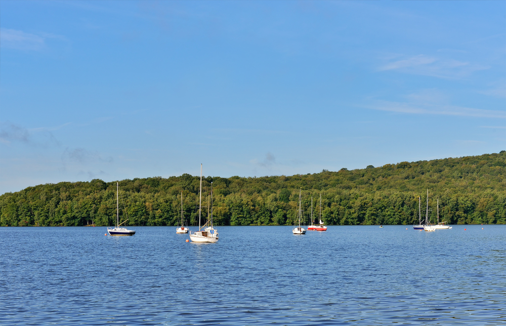 Meer met bootjes en groene bossen op de achtergrond.