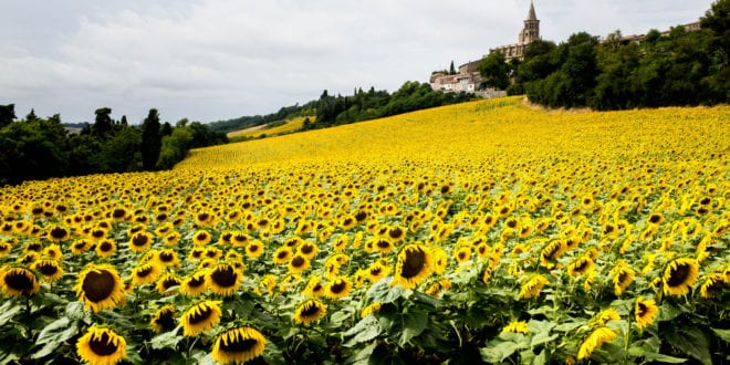 Saint Félix Lauragais Haute Garonne shutterstock 552205303, Bezienswaardigheden in de Haute-Garonne