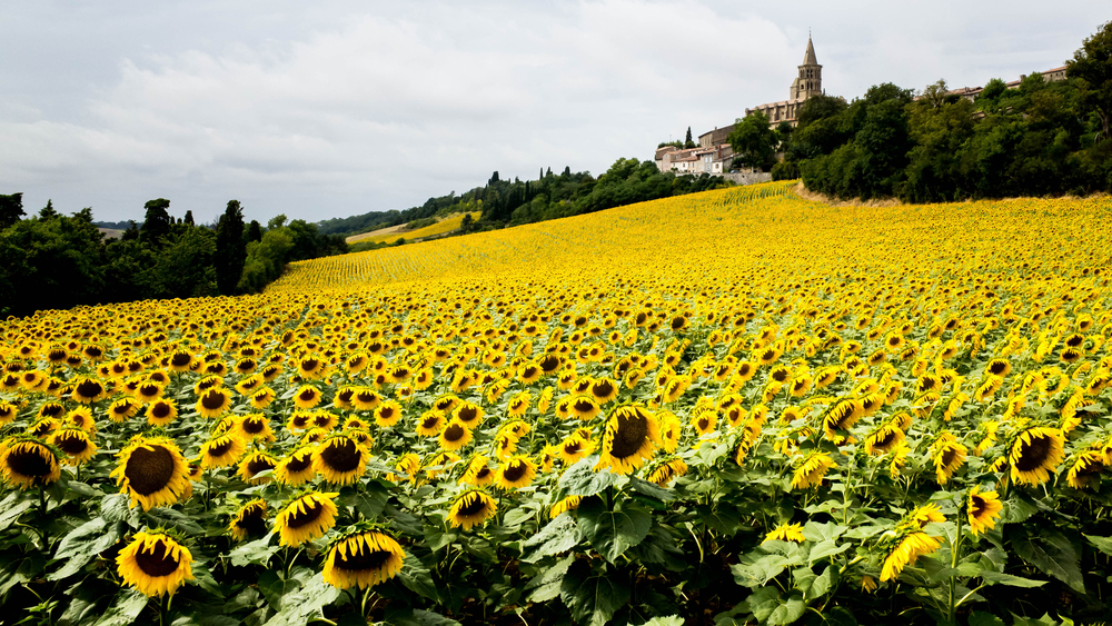 Saint Félix Lauragais Haute Garonne shutterstock 552205303, Bezienswaardigheden in de Haute-Garonne