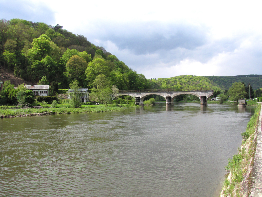 Rivier de Maas met een stenen brug en omringd door groene bossen.
