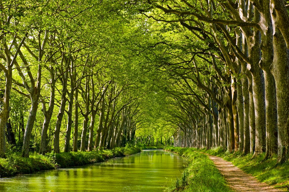 Canal du Midi Haute Garonne shutterstock 176666894, Bezienswaardigheden in de Haute-Garonne