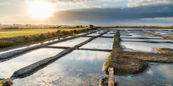 Marais Salants de Guérande Loire Atlantique shutterstock 1528279445, mooiste bezienswaardigheden in de Pays de la Loire