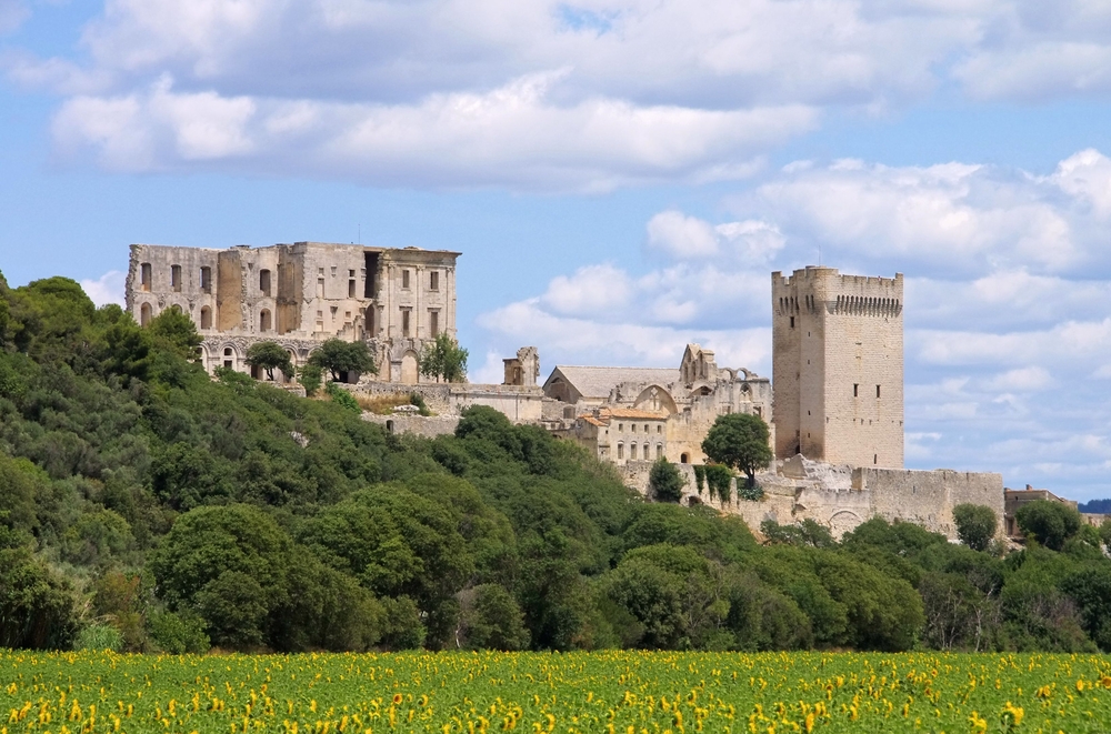 Abdij van Montmajour Bouches du Rhône shutterstock 244651366, Bezienswaardigheden in de Bouches-du-Rhône