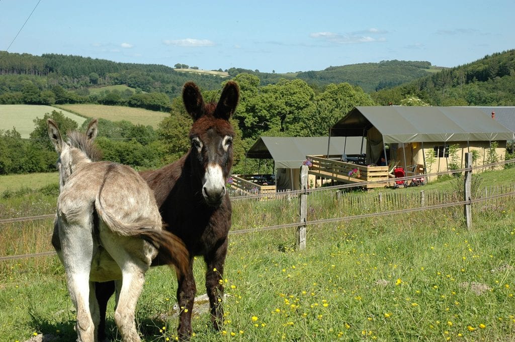 Morvan Rustique 5 min,