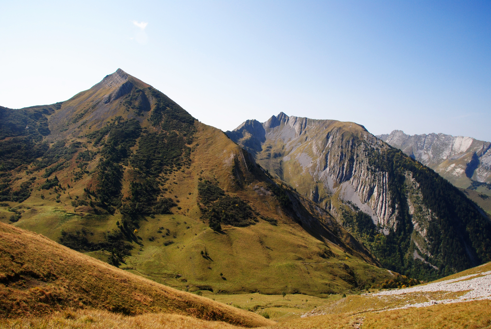 Parc Naturel Régional du Massif des Bauges Savoie shutterstock 722101276,