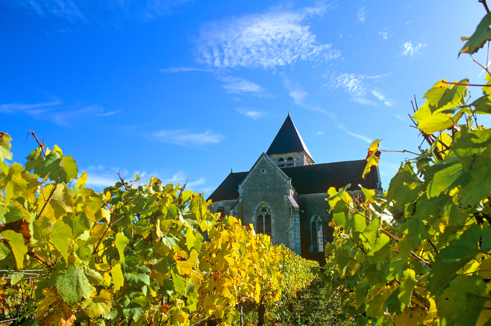 Wijngaarden van Chablis Yonne shutterstock 1043041909, Bezienswaardigheden in Yonne