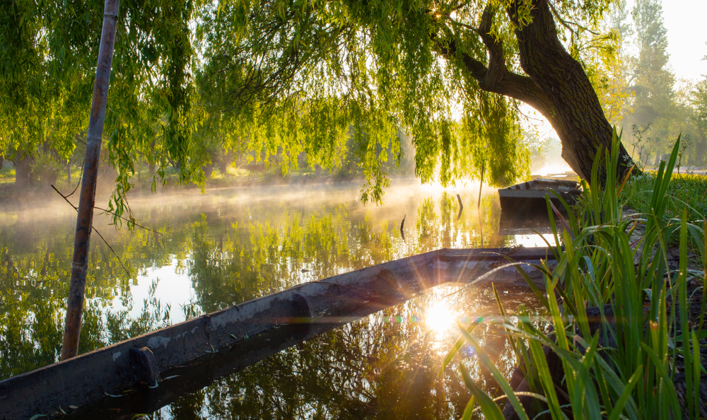 Kanaal van Berry Cher shutterstock 1440340205,