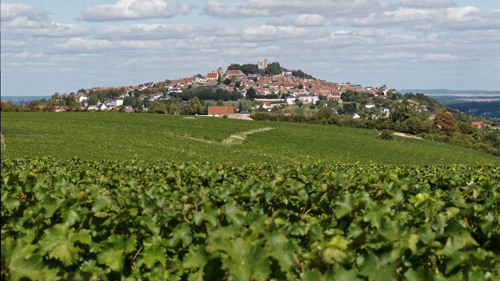 Sancerre Cher shutterstock 317124665,