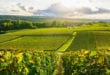 Champagne van de Marne Marne shutterstock 1425266264, nationale parken Frankrijk