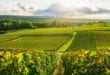 Champagne van de Marne Marne shutterstock 1425266264, Bezienswaardigheden Nièvre