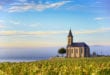 Wijngaarden van Beaujolais Rhône shutterstock 510601147, camping Ardèche aan rivier