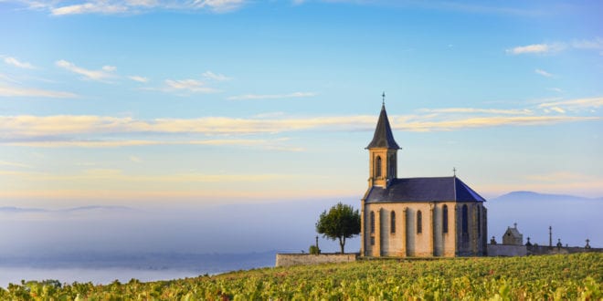 Wijngaarden van Beaujolais Rhône shutterstock 510601147, Rhône