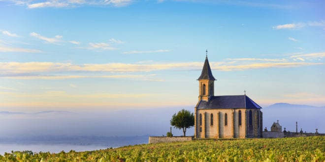 Wijngaarden van Beaujolais Rhône shutterstock 510601147, Fijne campings in de Drôme