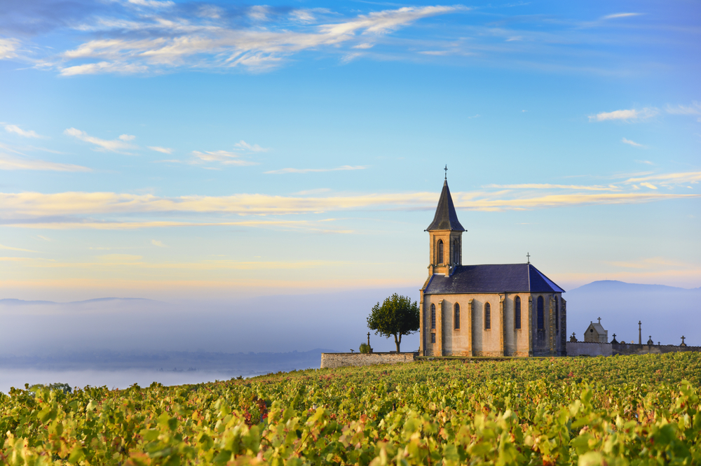 Wijngaarden van Beaujolais Rhône shutterstock 510601147, Bezienswaardigheden in de Rhône