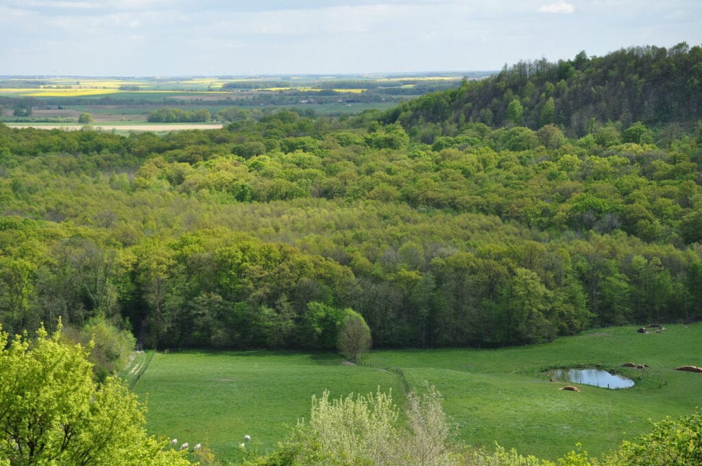 Argonne Meuse, Meuse