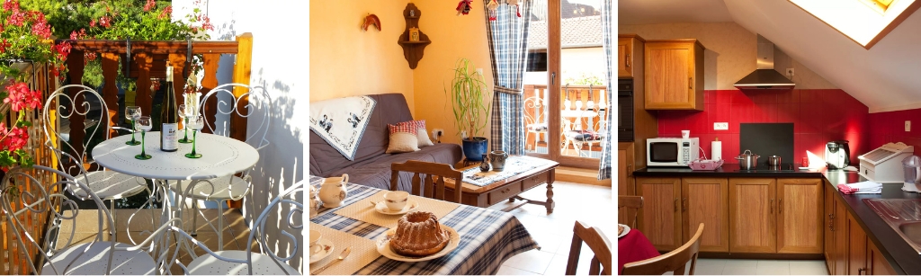 Gite a lAncienne Tannerie, vakantiehuizen in de Elzas