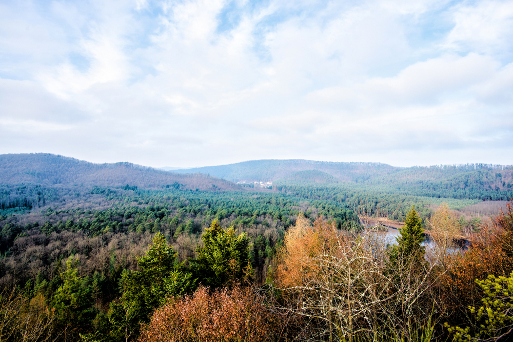 Parc Naturel Régional des Vosges du Nord Moselle shutterstock 1300290973,