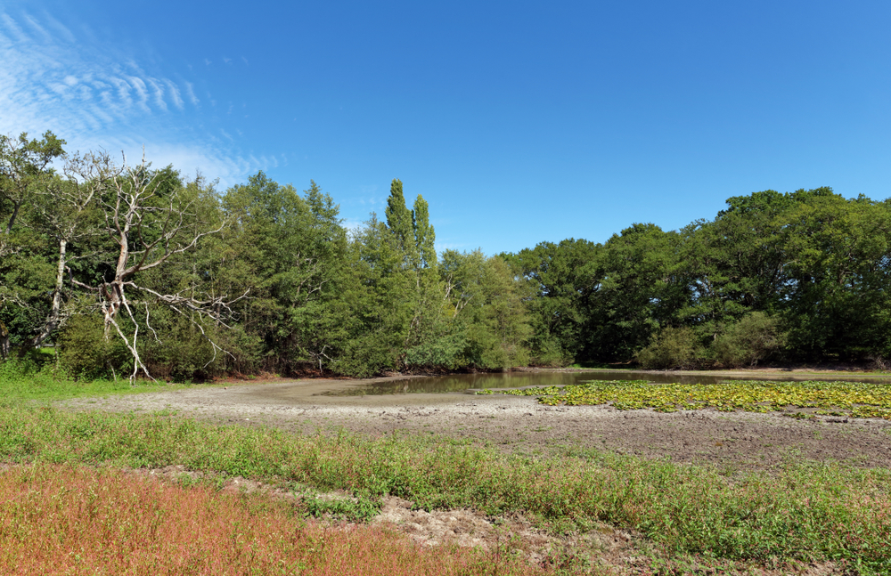 La Sologne Loir et Cher, bezienswaardigheden Loir-et-Cher