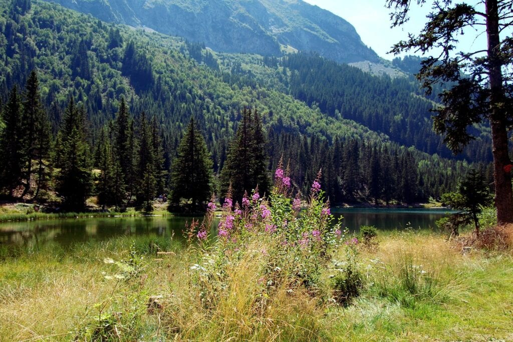 Zomervakantgie Frankrijk TUI Alpen, tui frankrijk