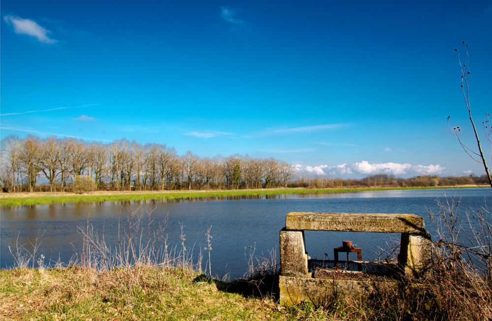 De Meren van Dombes Ain shutterstock 1356977948, Bezienswaardigheden in de Ain