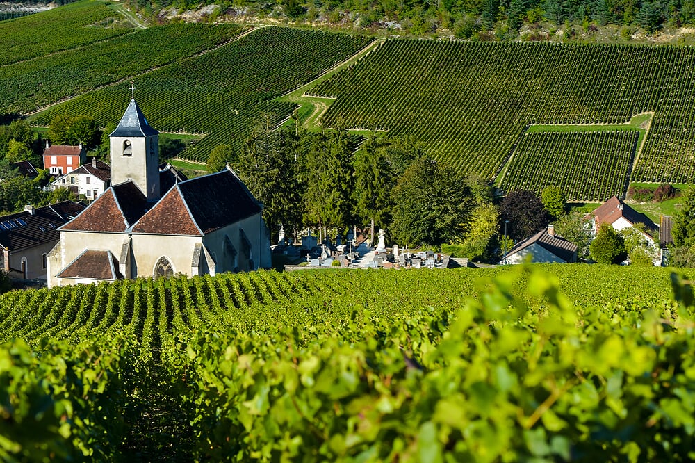 Cote des Bars, Champagnestreek